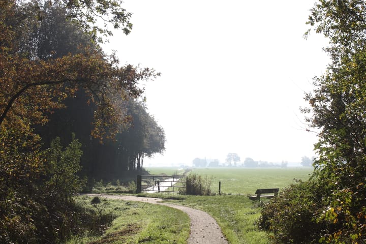 Photo 60 of Titelroas 15