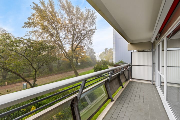 Photo 27 of De Roerdomp 114