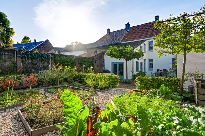 Photo 35 of Maaspoort 4