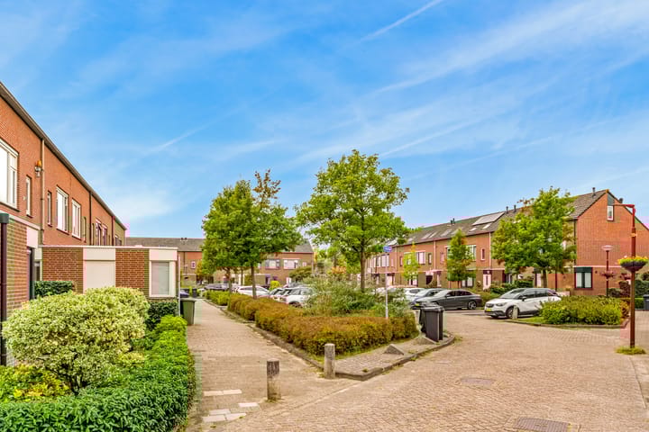 Foto 2 van Stormvogel 38