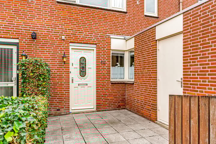 Foto 3 van Stormvogel 38