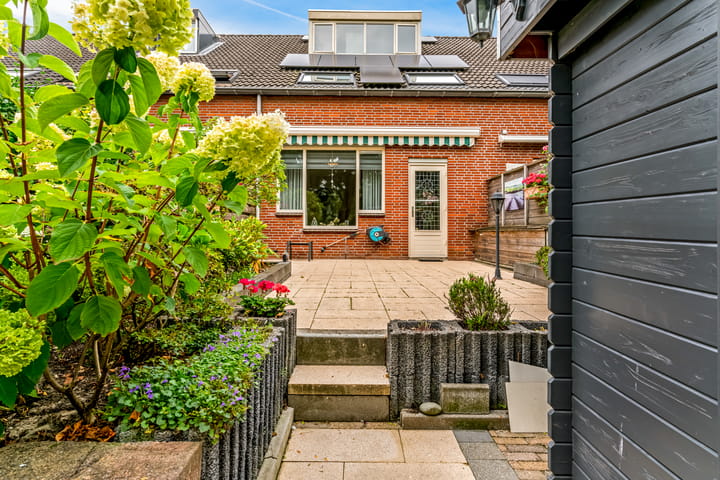 Photo 12 of Stormvogel 38