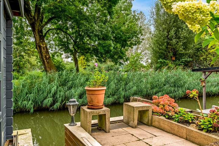 Photo 14 of Stormvogel 38