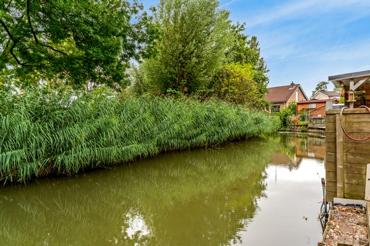 Photo 16 of Stormvogel 38