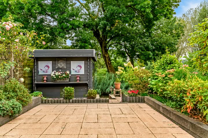 Photo 17 of Stormvogel 38