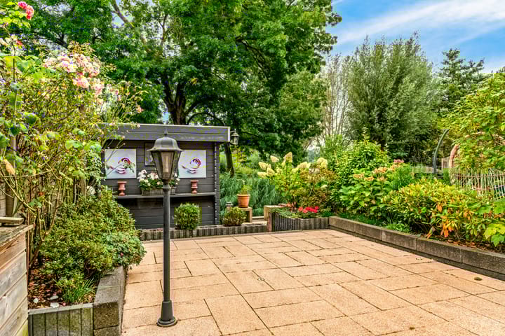 Photo 18 of Stormvogel 38