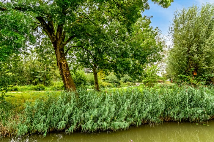 Photo 19 of Stormvogel 38