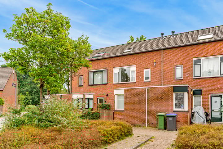 Photo 36 of Stormvogel 38