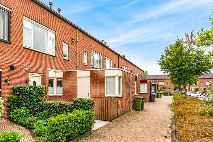 Photo 37 of Stormvogel 38