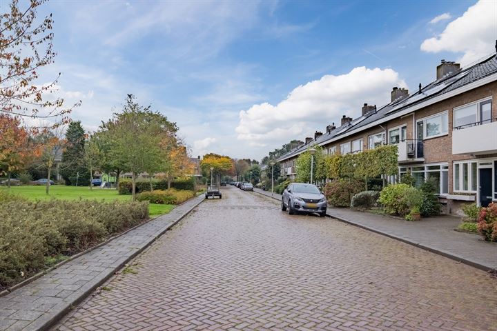 Bekijk foto 36 van Roosenburgstraat 35