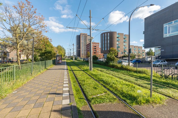 Bekijk foto 44 van Ernst Cahnsingel 42