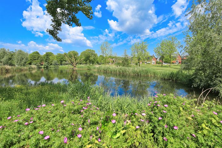 Bekijk foto 45 van Groenezoom 24