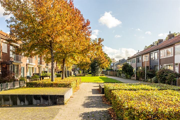 Bekijk foto 33 van van der Fuyckstraat 20