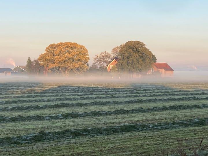 Photo 50 of 't Woudt 3