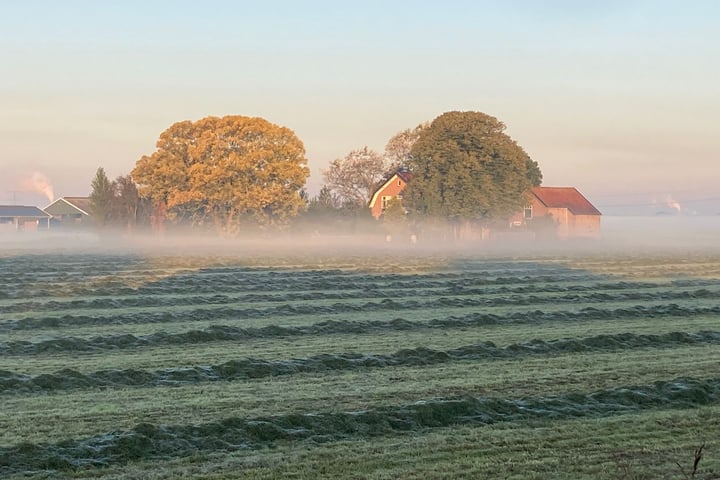 Bekijk foto 50 van 't Woudt 3