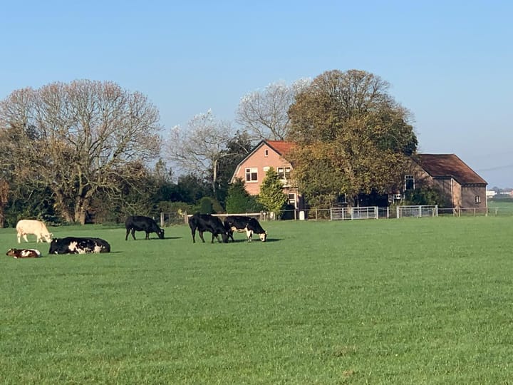 Photo 51 of 't Woudt 3