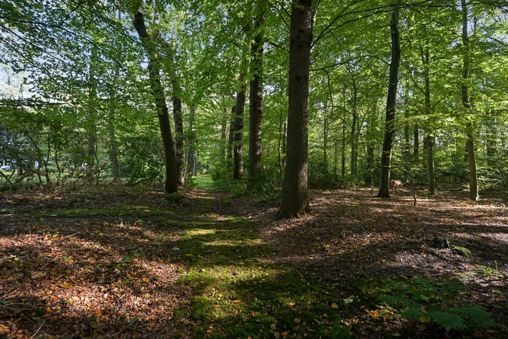 Bekijk foto 42 van Groot Haesebroekseweg 20