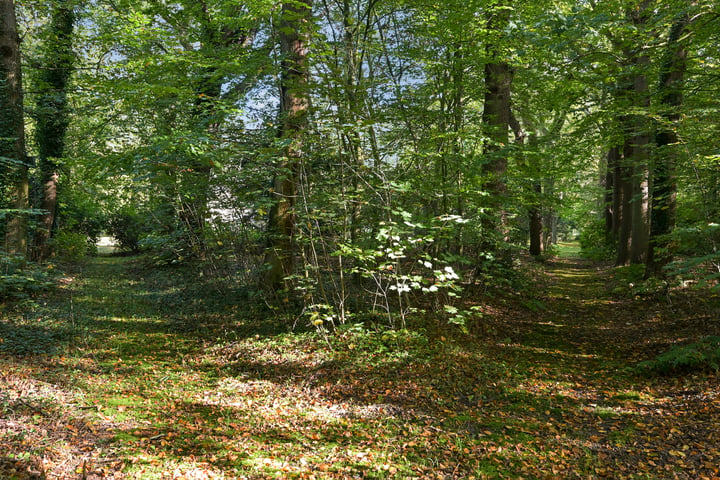 Bekijk foto 43 van Groot Haesebroekseweg 20