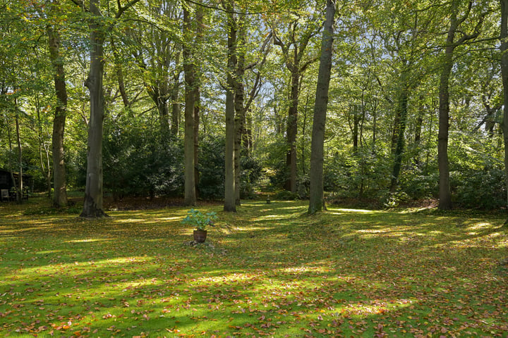 Bekijk foto 44 van Groot Haesebroekseweg 20