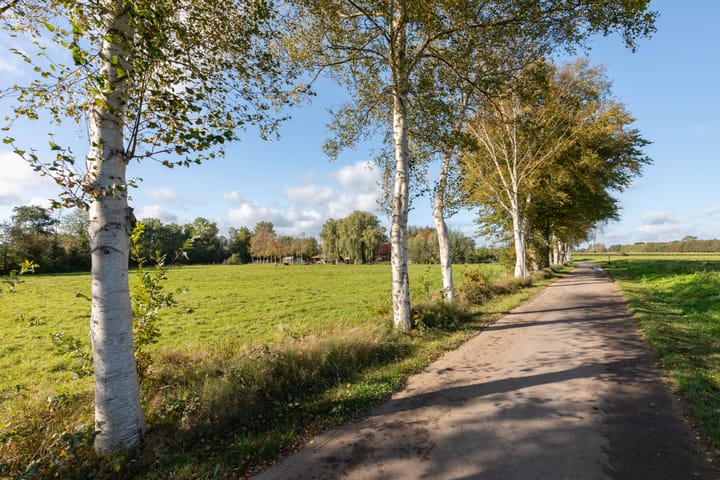 Foto 60 van Vinkelaar 5