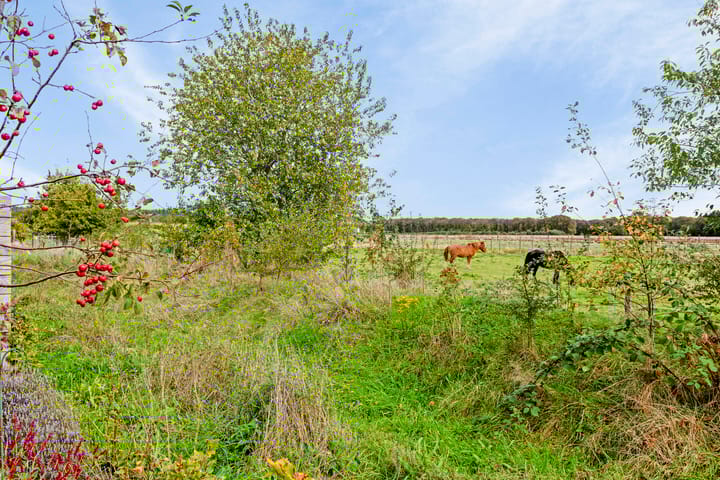 Foto 47 van Bergakker 3