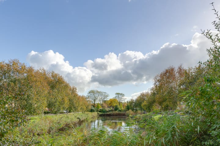 Foto 63 van Hunzebos 39