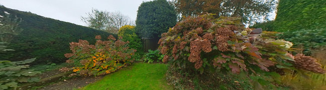 View 360° photo of Achtertuin of Mollenstraat 27