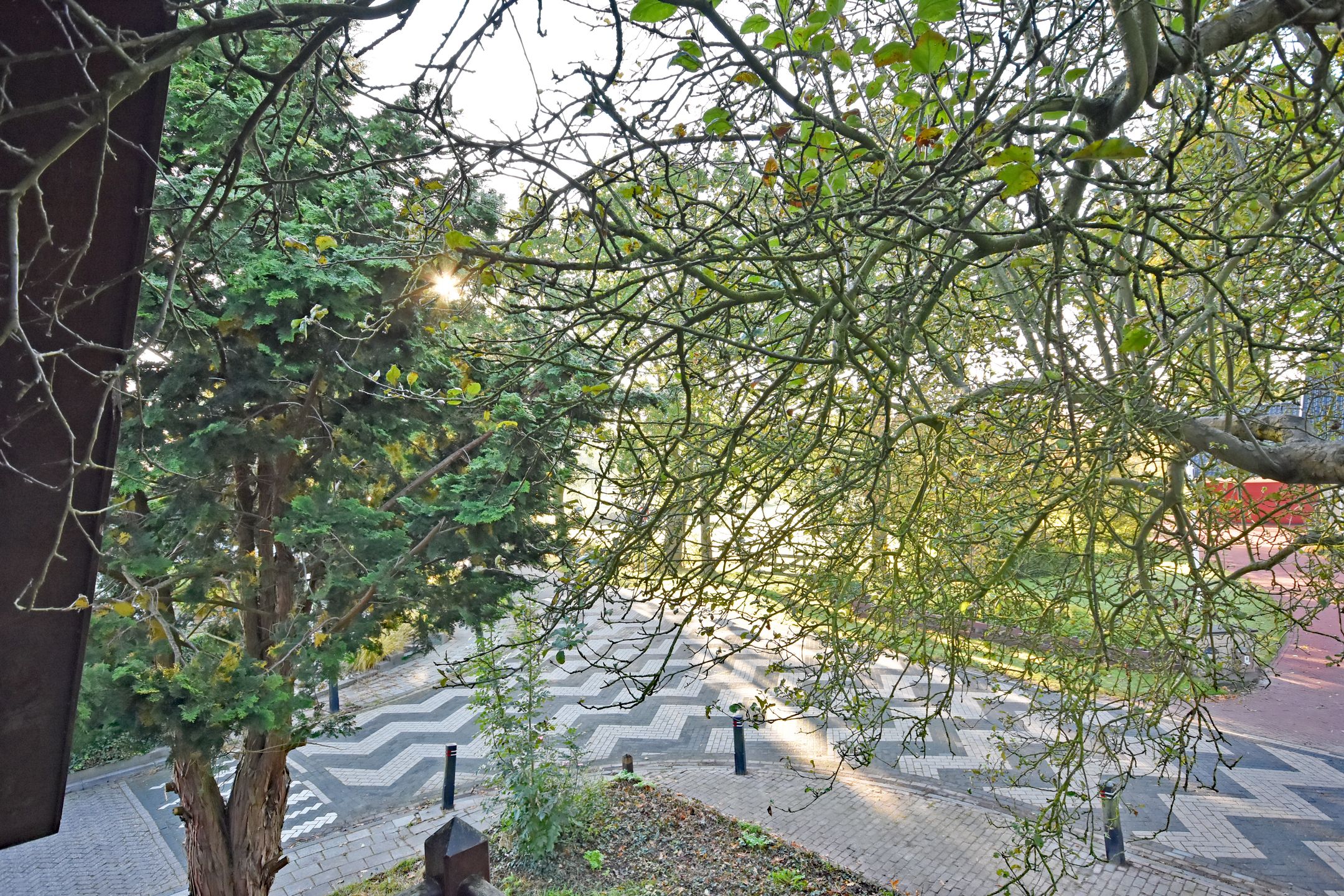 Foto 45 van Hegewei 4