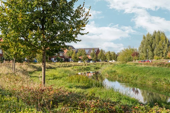 Bekijk foto 40 van Frankrijkstraat 209