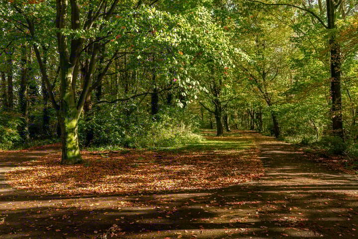 Foto 43 van Julianalaan 76-B