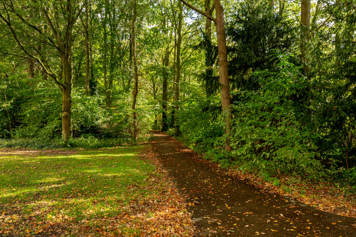 Foto 44 van Julianalaan 76-B