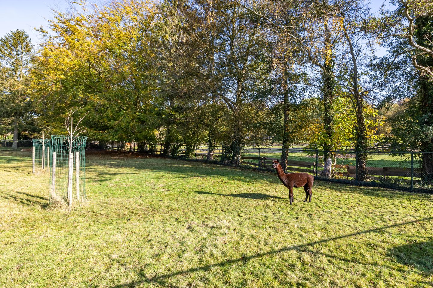 Foto 64 van Vriezerweg 6-A