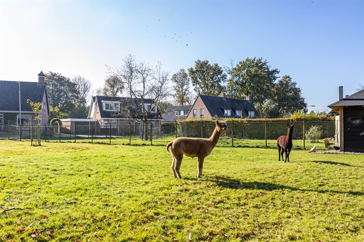 Bekijk foto 65 van Vriezerweg 6-A