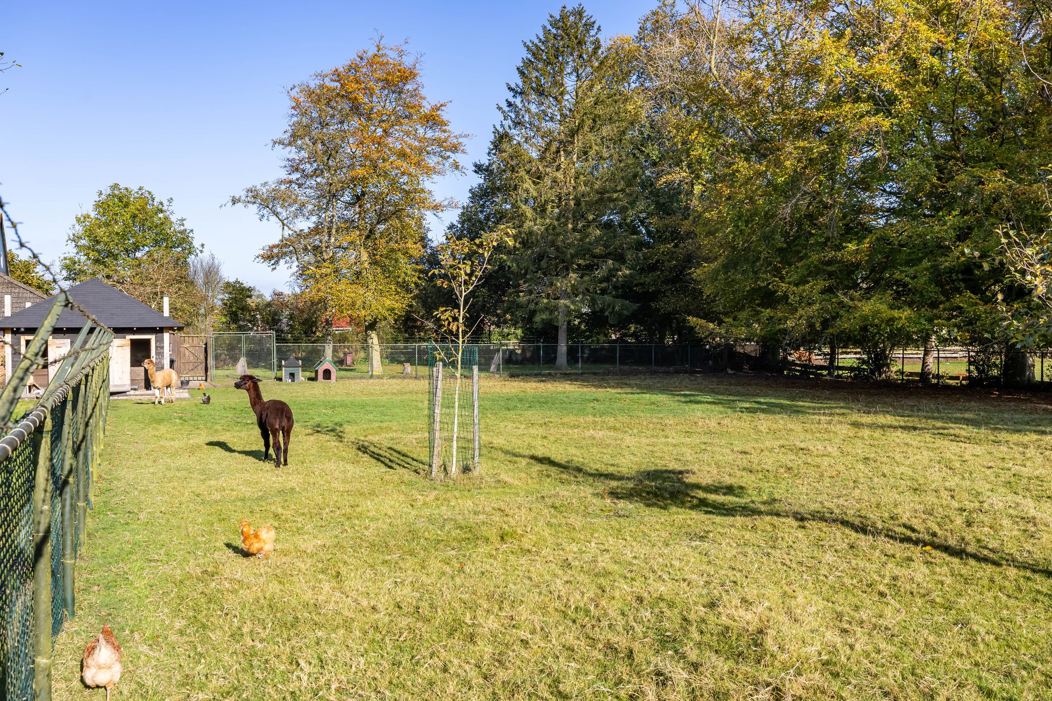 Foto 66 van Vriezerweg 6-A