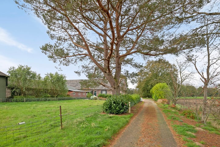 View photo 5 of Boerdonksedijk 2