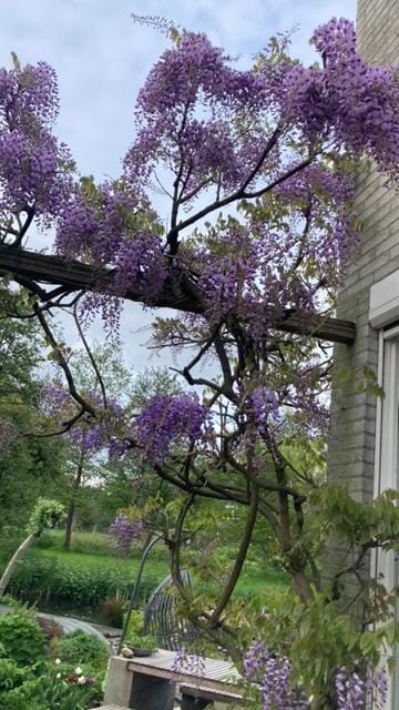 Photo 26 of Noorddammerlaan 16