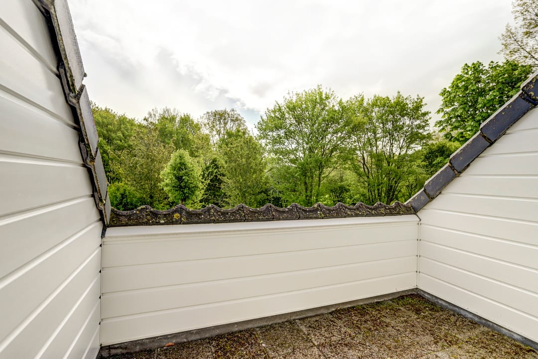 Foto 56 van Albert van Dalsumlaan 18