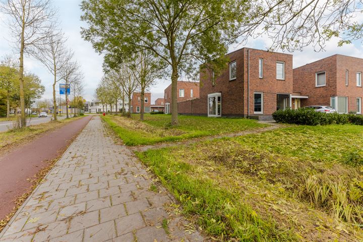 Bekijk foto 32 van de Doelen 43