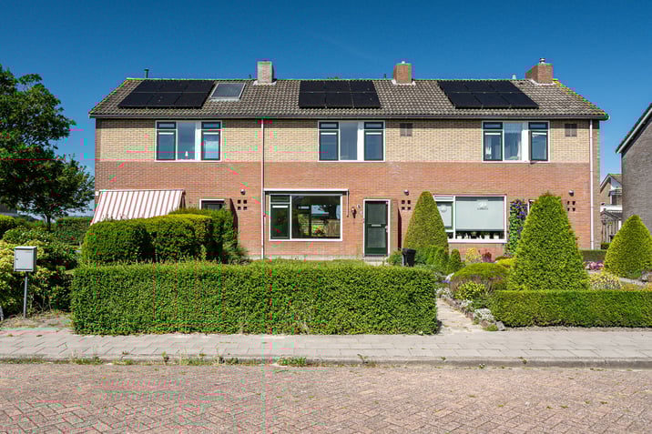 undefined main image
