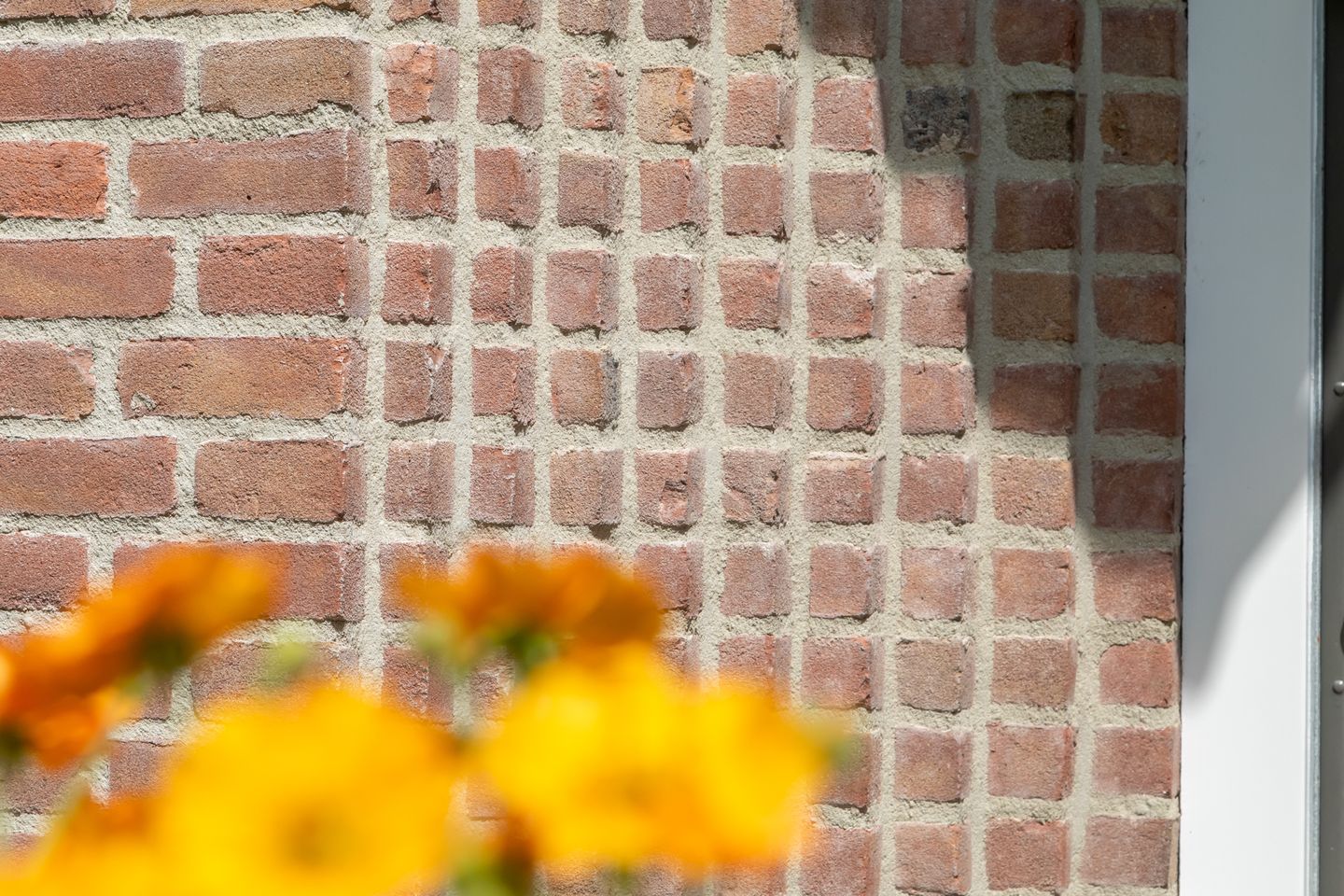 Foto 44 van Duinweg 83