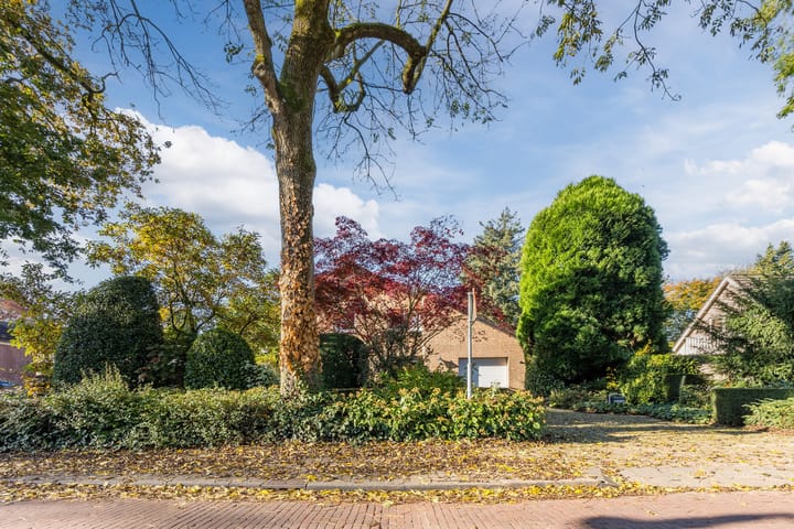 Foto 5 van Wielstraat 19