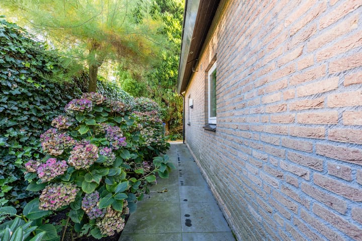 Foto 42 van Wielstraat 19