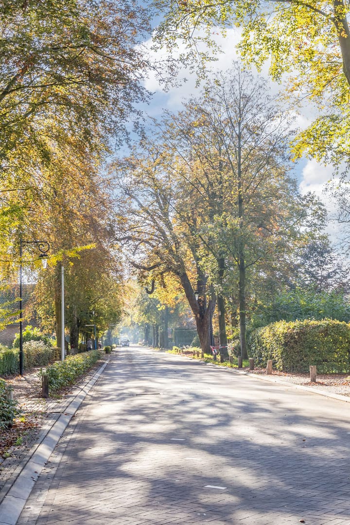 Foto 47 van Wielstraat 19