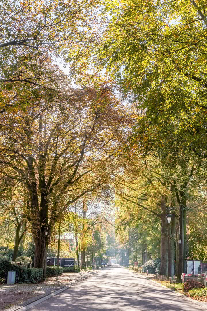 Foto 49 van Wielstraat 19