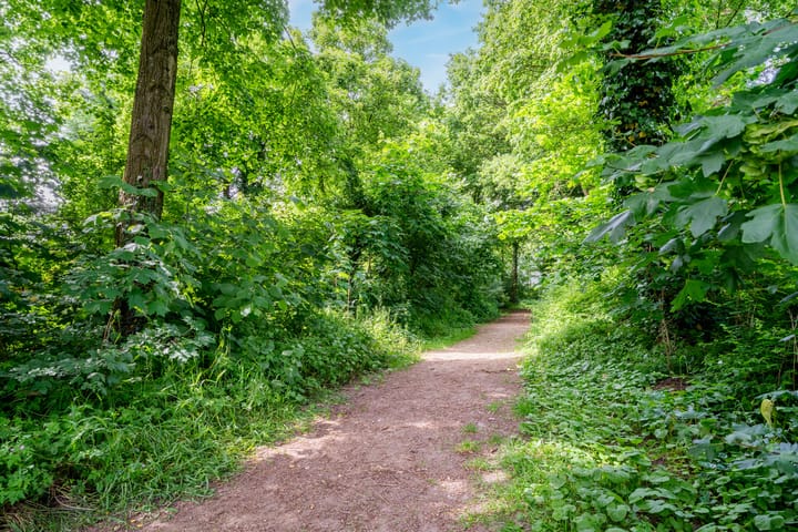 Foto 27 van Leibeemd 76