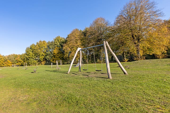 Foto 31 van Leibeemd 76