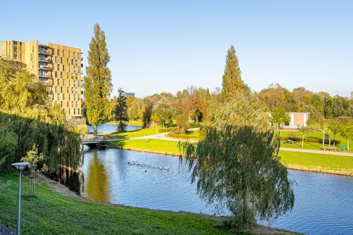 Bekijk foto 4 van Johan de Wittstraat 222