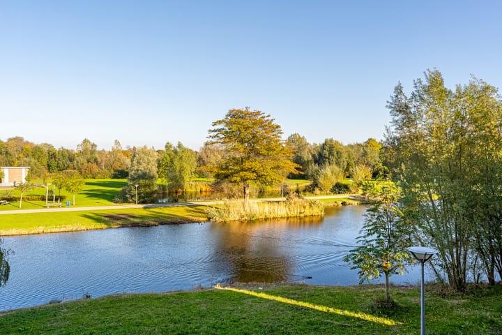 Foto 38 van Johan de Wittstraat 222