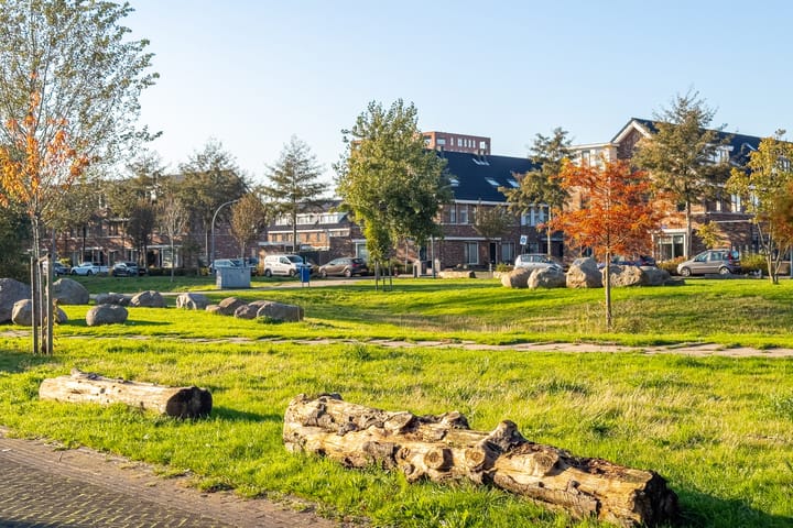 Foto 50 van Johan de Wittstraat 222