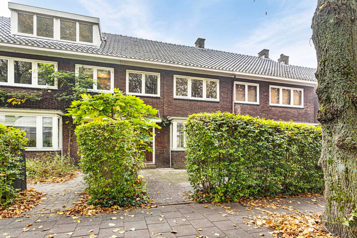 Bekijk foto 39 van Frans Halsstraat 68